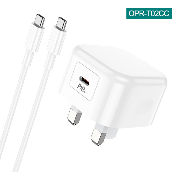 PHONE ACCESORIES/Travel charger