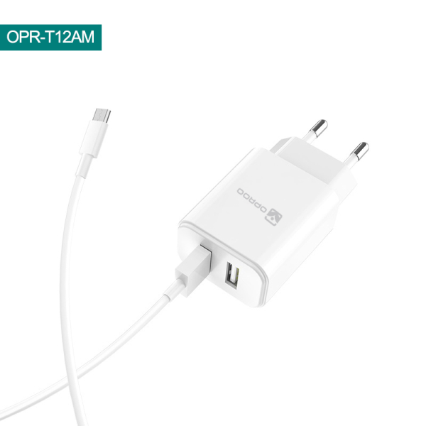 PHONE ACCESORIES/Travel charger